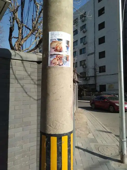 新德街电线杆上有粘贴广告现象,已清理.