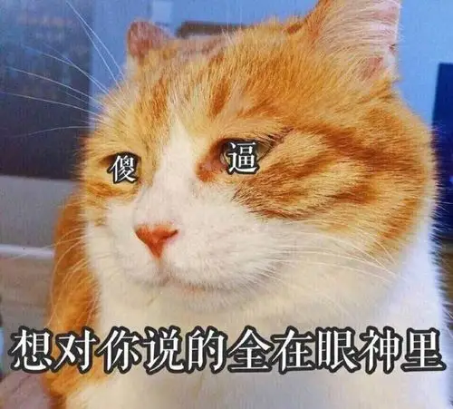 萌宠逗比搞笑聊天表情包图片