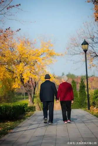 「摄影笔记」老年人情侣照片有什么pose,我这有套拍摄秘籍