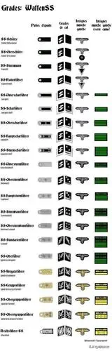 国防军和党卫军都是纳粹德国时期武装力量的组成部分彼此如何区别