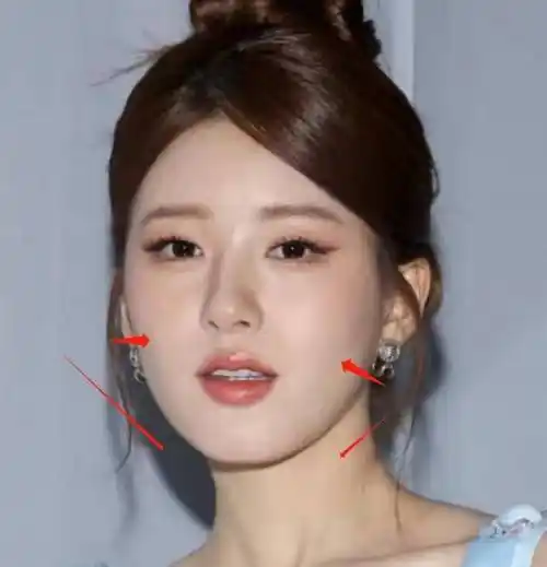 赵露思看秀被吐槽p图太狠,圆脸秒变瓜子脸,硬凹时尚感太土气_衣服