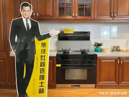 厨电新测评首款古天乐参与设计的集成灶雅士林e6有何过人之处