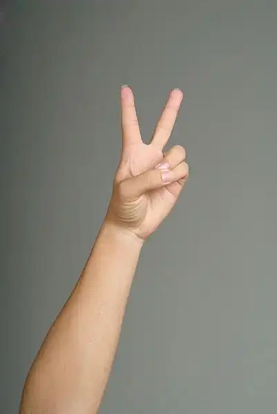 做和平手势的手臂