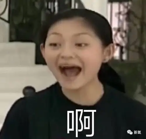大s大概怎么也不会想到,将近20年过去,她在《流星花园》中的表情包会