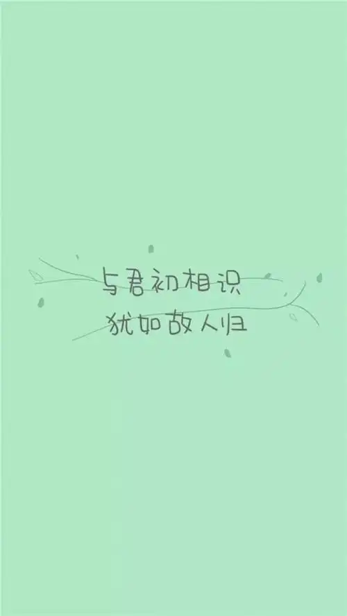 简约文字小清新创意手机壁纸图片