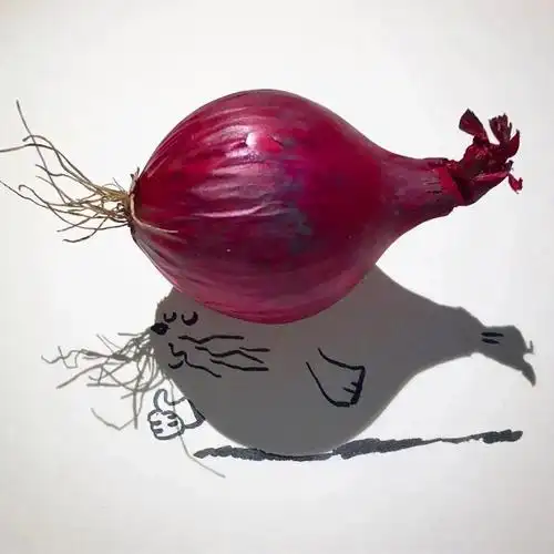 酷coo豆 的想法: #创意# 用影子作画 - 知乎