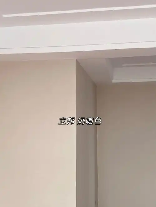 立邦网红漆交作业