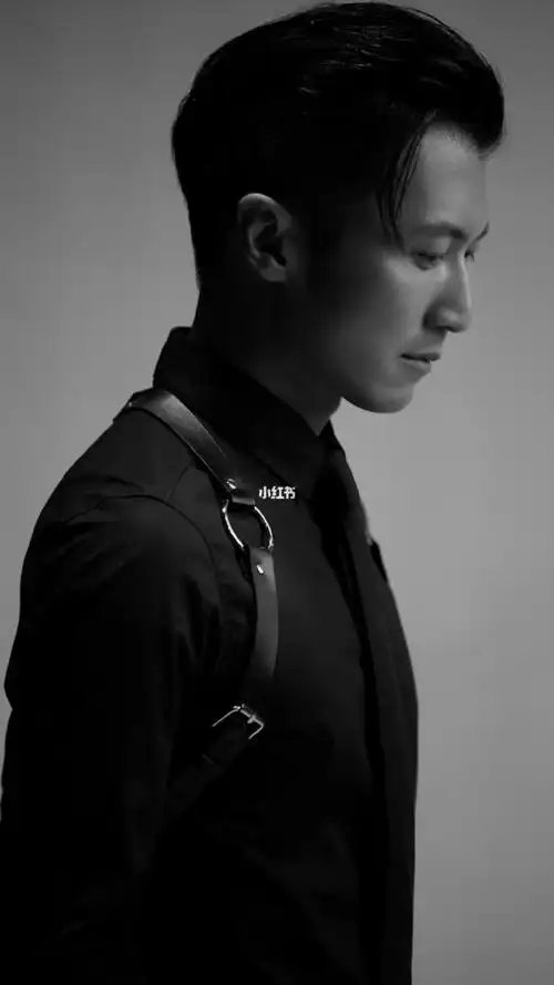 整形医生如何看待他的颜值?_谢霆锋_整容_娱乐_明星娱乐资讯