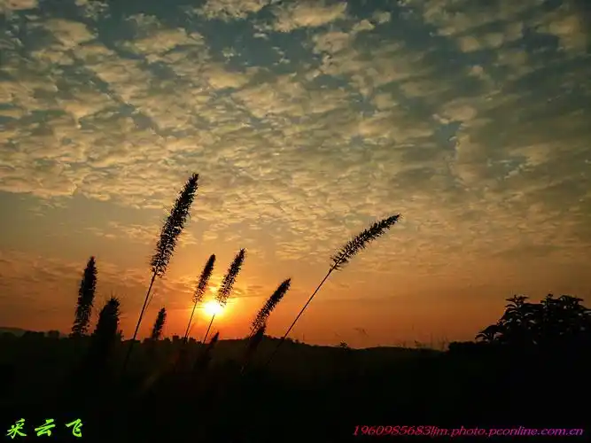 乡村日出 第 1 幅