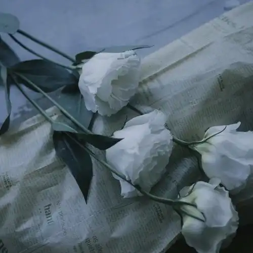 唯美高级背景图片朋友圈高级配图