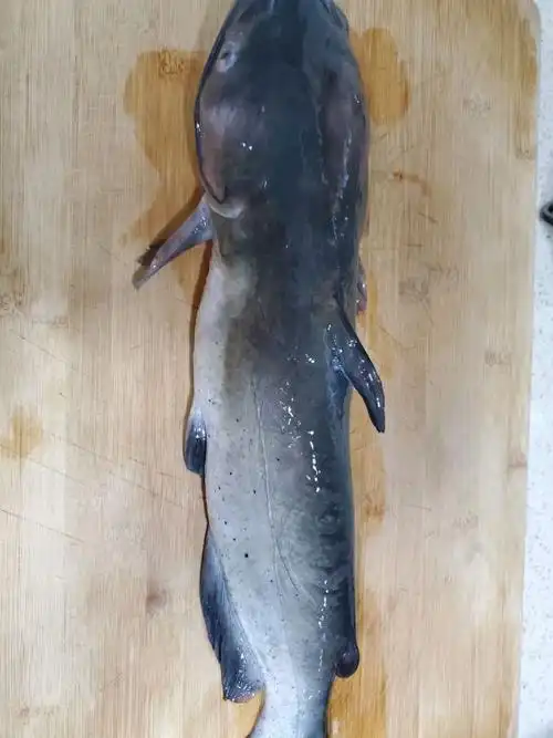 清炖清江鱼,一人吃掉两碗饭(1/6)