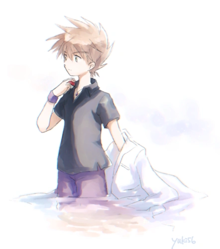 宠物小精灵 口袋妖怪 神奇宝贝 小茂