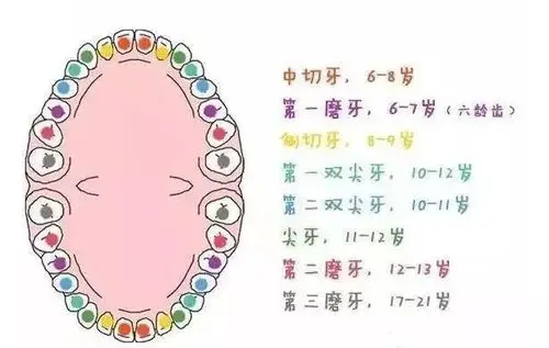 乳牙早失不重视,孩子的一口好牙就被你毁了!