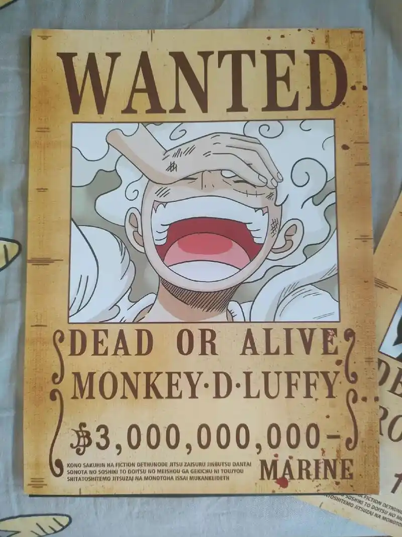 海贼草帽团悬赏令终于到了#海贼王 #海贼迷 - 抖音