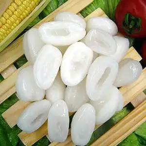 海底椰的功效与作用 - 求真百科