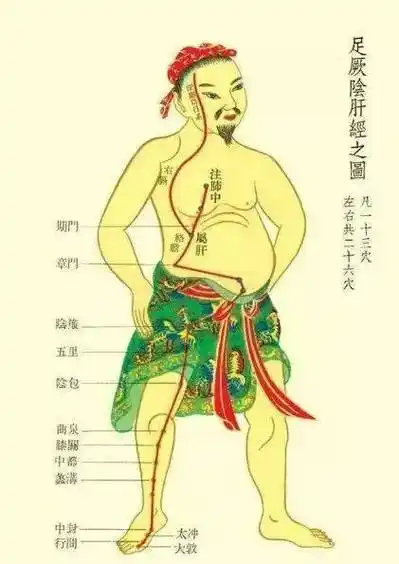 每天揉一次大腿内侧两周后奇迹出现了