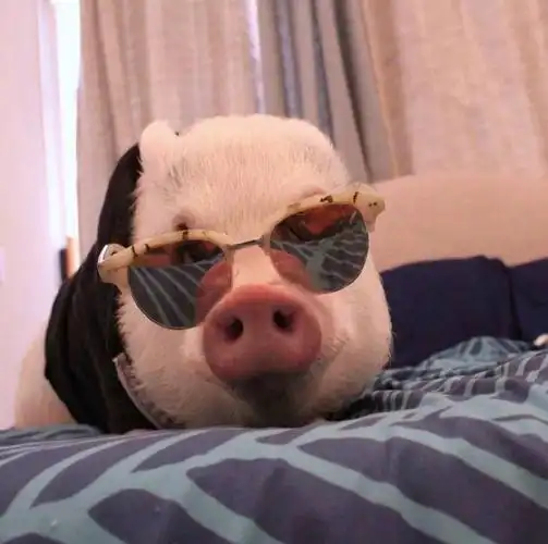 有没有可爱的男生用的头像和表情