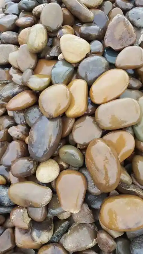 江门鹅卵石/配电所鹅卵石米黄色鹅卵石变压器滤油池来电咨询