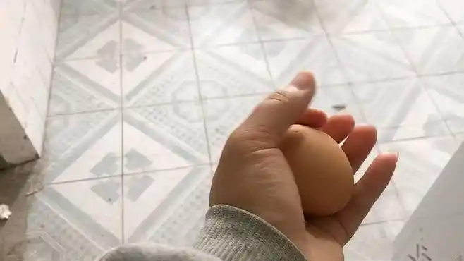 单手捏鸡蛋真的捏不碎吗,只要捏碎鸡蛋给1w块,真有这么难吗?