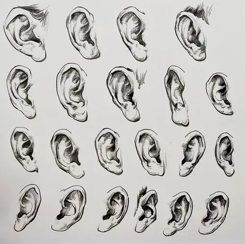 速写干货|头部五官局部详细讲解(高清教案)