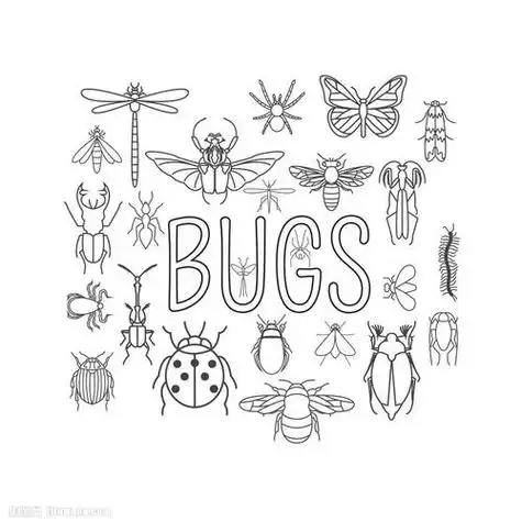 15种昆虫简笔画15种昆虫简笔画加颜色