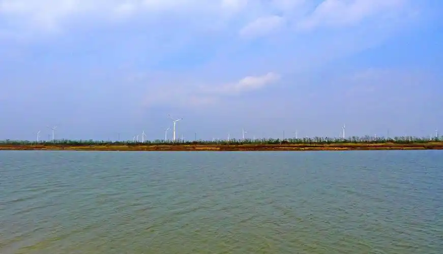 大丰国家海涂湿地公园