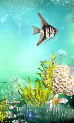 240_400竖版 竖屏gif 动态图 动图