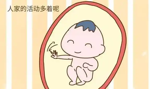 怀孕5个月胎儿都会做什么?