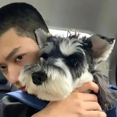 看起来成熟又好看的男生头像 精致的男生头像最新版