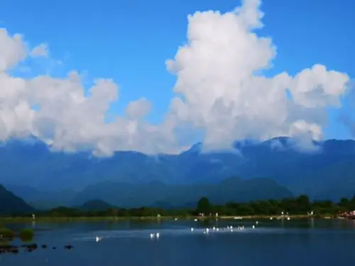 应是水墨画中景 沧海遗珠落人间一一一一8月9日上午