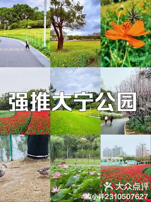 上海大宁公园一日游全攻略! 99地点:-大众点评