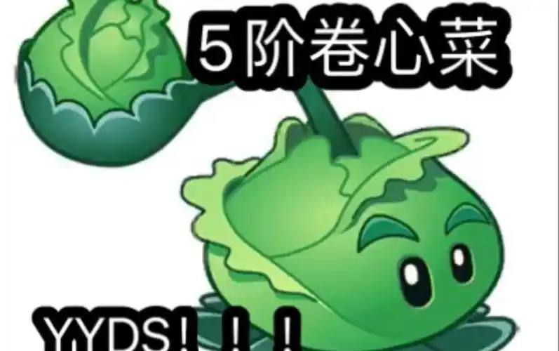 5阶卷心菜投手永远的神燃向剪辑