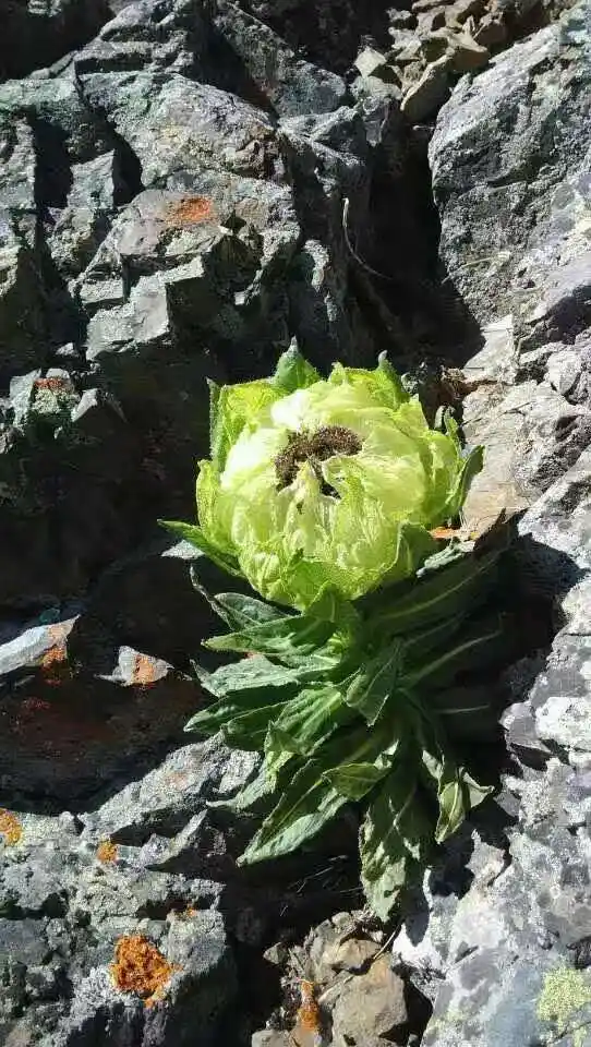 【网络媒体国防行】人生最记忆尤深,是为祖国戍边的日子