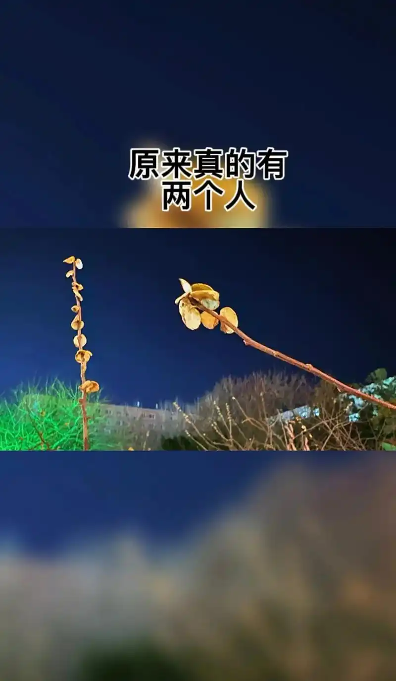 原来真的有两个人互相喜欢彼此惦记相互忘不掉又不能在一起彼此思念却