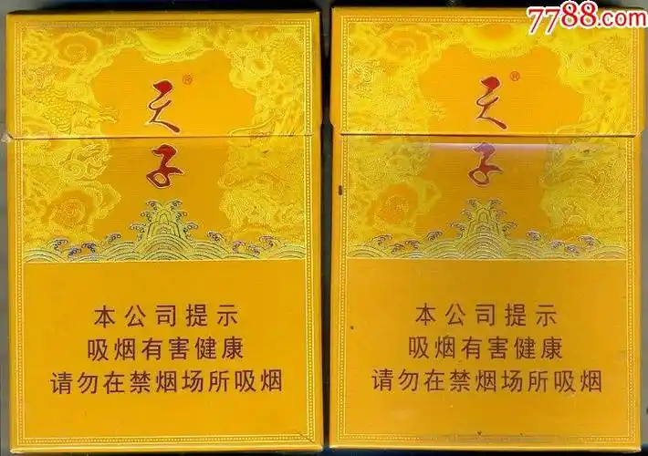 "天子".中支一对