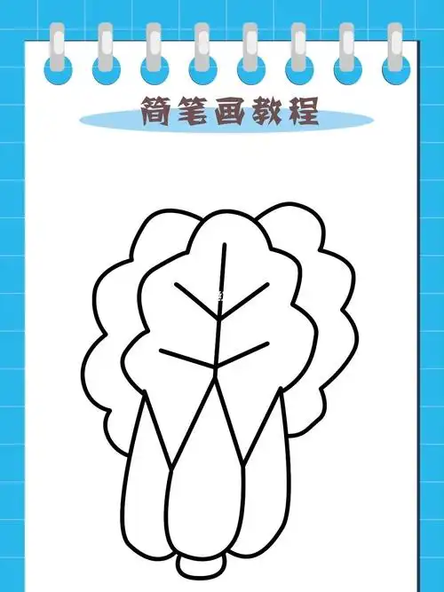 大白菜  快来和我一起学习白菜的画法 #简笔画教程