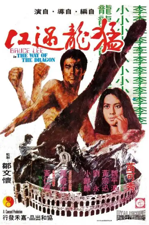 1972年中国香港经典动作片《猛龙过江》bd国粤双语中字