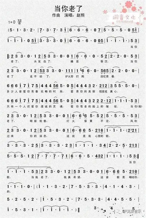 当你老了赵照经典歌曲深情唯美萨克斯音乐