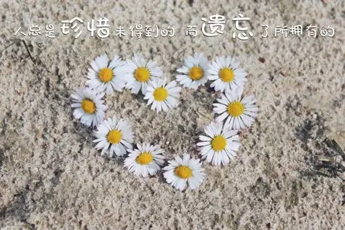 心形带字图片,主流,心形,带字,图片,标签:带文字非主流心形特别声明