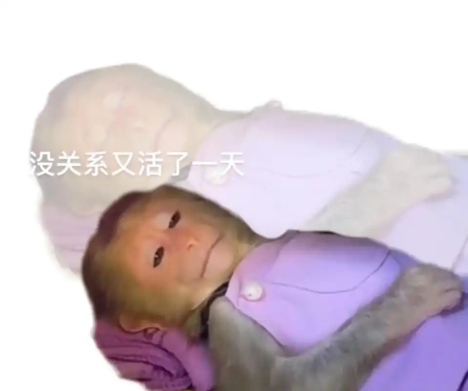 精神状态01#表情包 #吗喽表情包 #没关系又活了一天 - 抖音