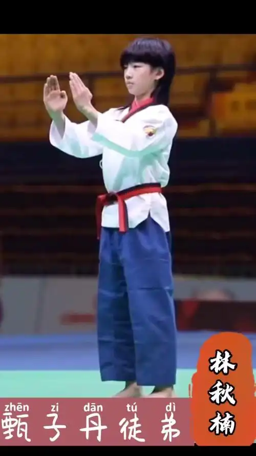 甄子丹徒弟龙拳小子林秋楠小时候比赛-影视综视频-搜狐视频