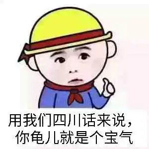 用我们四川话来说,你龟儿就是个宝气