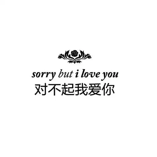 商标名称对不起我爱你 sorry but i love you商标注册号 12266174