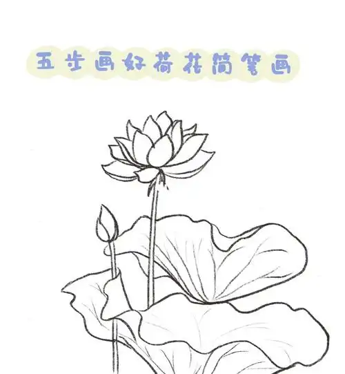 适合小孩纸画的荷花简笔画教程来啦!