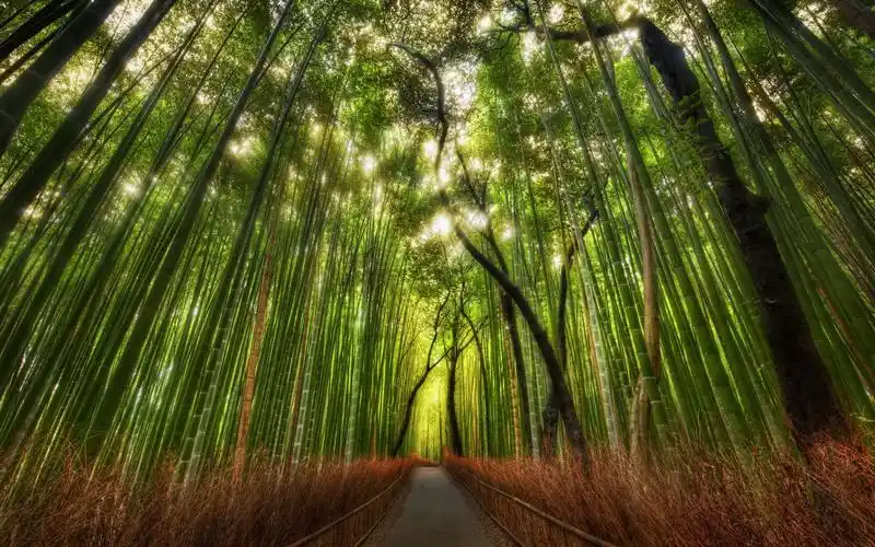 win10精美聚焦锁屏宽屏壁纸(四五六)(1)