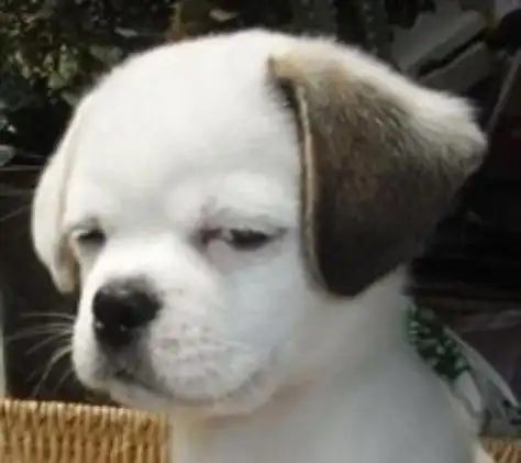 超级逗比搞笑图片 - 燕子图片网,一个充满欢乐的表情包,头像图片乐园