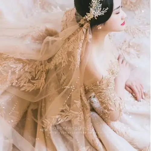 新娘头纱香槟金色2019新款抖音同款金闪闪软网3米5长款拖尾大头纱