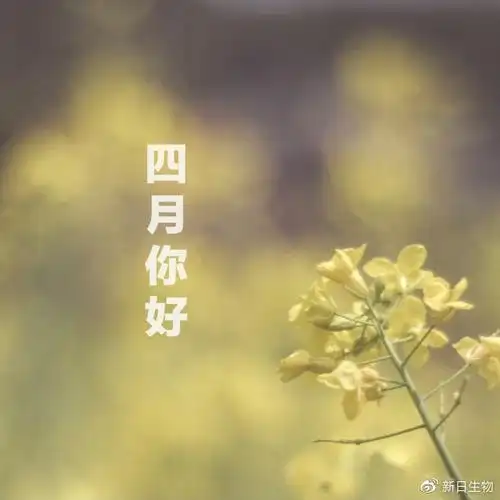 10,您的2021已加载完毕04.9,四月里,宜收集快乐.