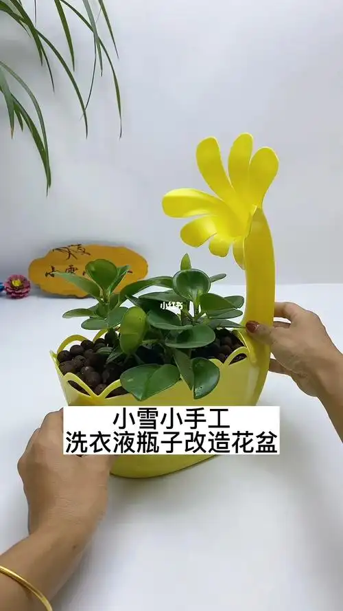 洗衣液瓶做简易花盆