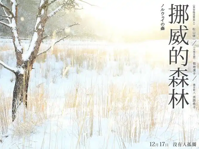 跟着内心走就对了——《挪威的森林》有感